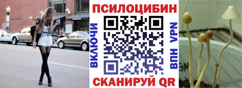 Галлюциногенные грибы мицелий Купить где Вышний Волочёк