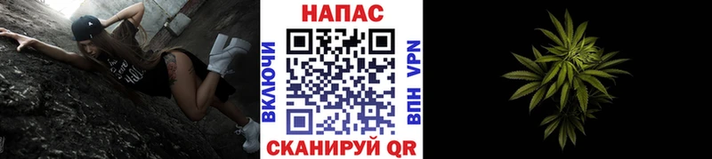 Купить  Вышний Волочёк  Конопля тримм 